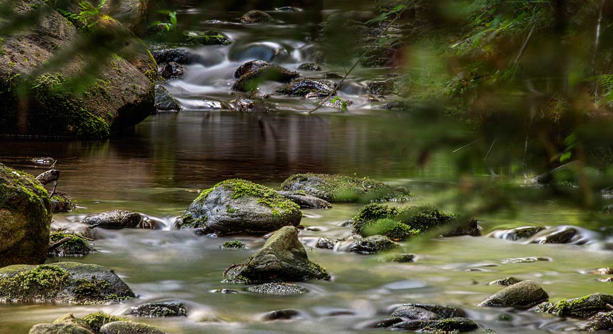 Urlaub im Bayerischen Wald - Natugenuss, Aktiverlebinis und Sehenswürdigkeiten